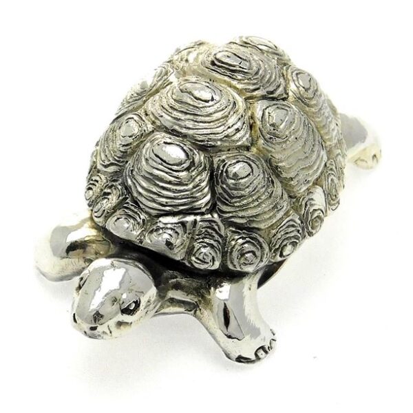 00380-OGGETTISTICA-TartarugaBig1