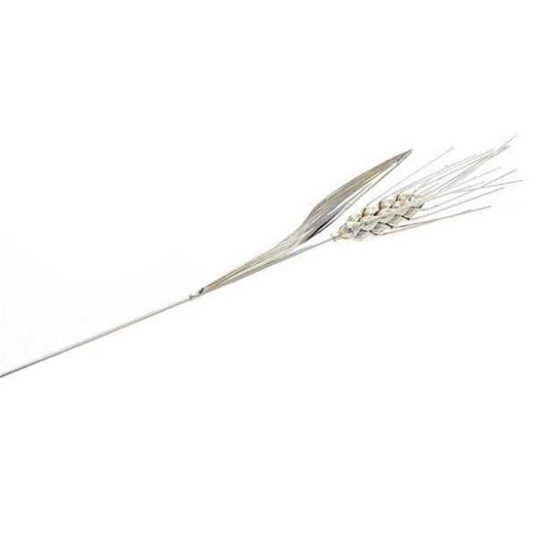 00963-FIORI-Spiga-biancaBig1