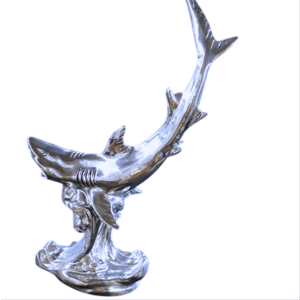 SQUALO GRANDE H.45 - immagine 1