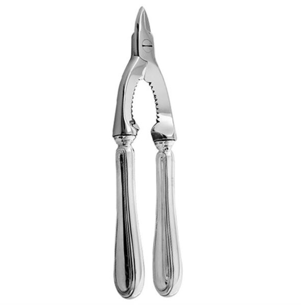 02923-PEZZI-SERVIRE-AprispumanteBig1