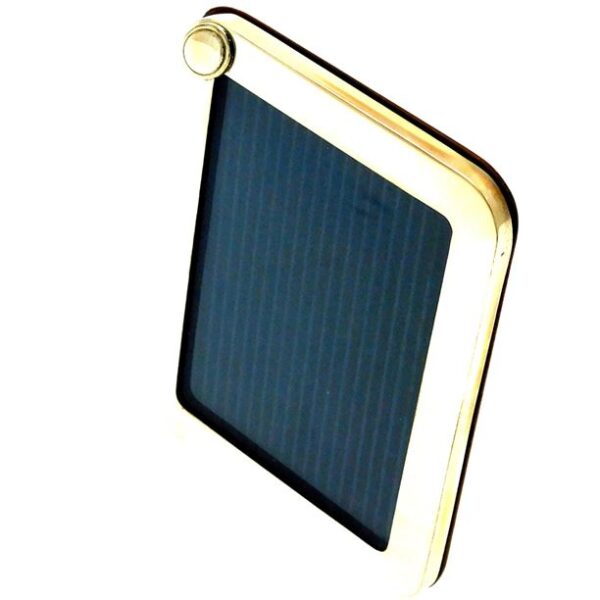 08490-00229-CORNICI-Cornice-con-blasoneBig1