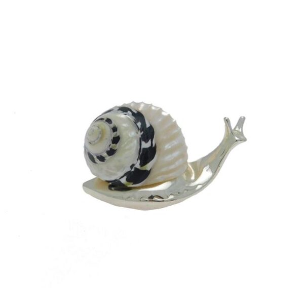 02190-OGGETTISTICA-LUMACA-CON-GUSCIO-MADREBIG1