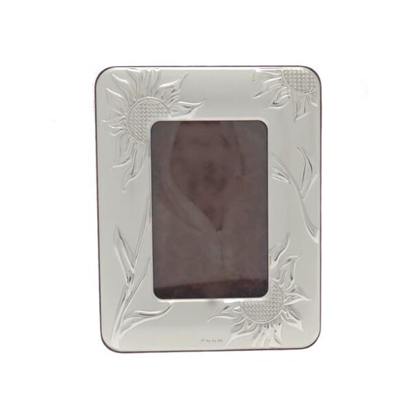 03273-GENERICO-CORNICE-GIRASOLIBIG1