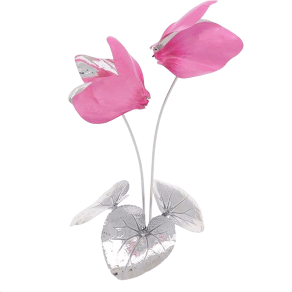 06737-FIORI-CICLAMINO-DA-TAVOLABIG1