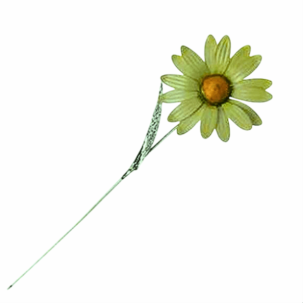 07188-FIORI-MARGHERITABIG1