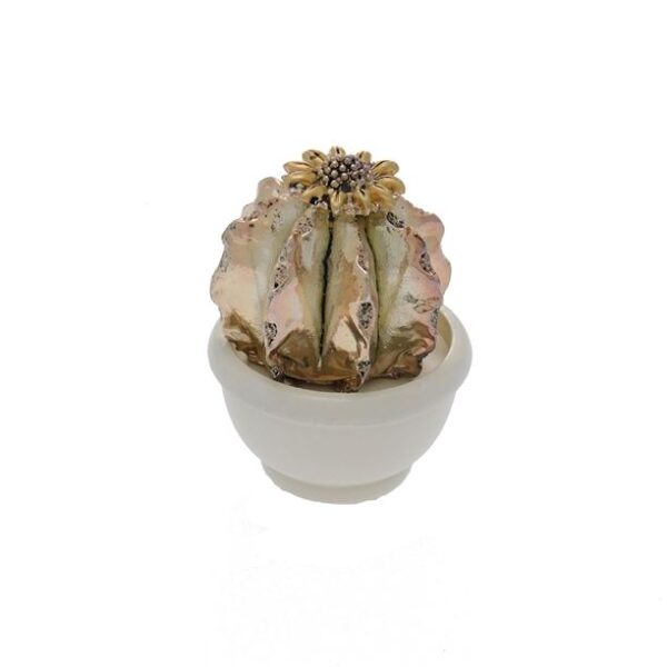 10880-01378-GENERICO-PIANTINEBIG1