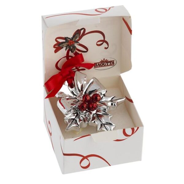 20896-00011-AGRIFOGLIOBIG1