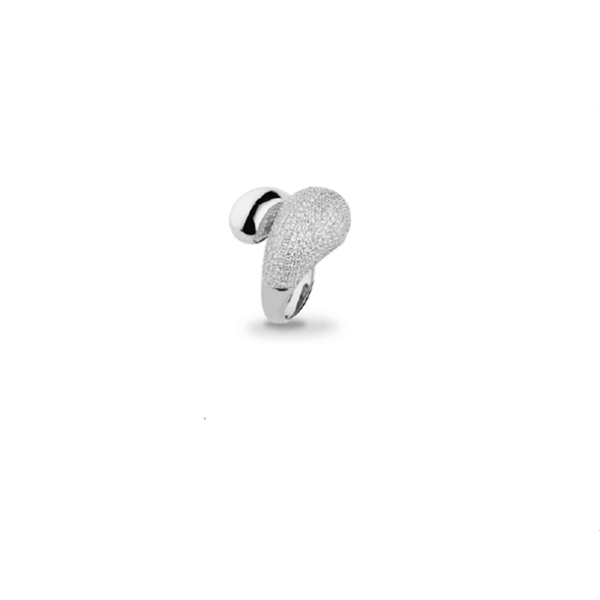 23323-ANELLI-SOVRANI-ANELLO-IN-OTTONE-A-GOBIG1