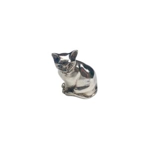 Gatto seduto